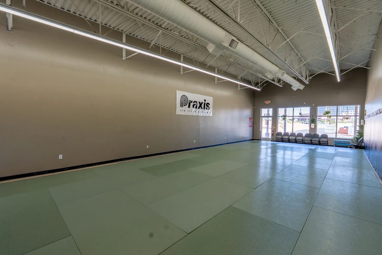 Praxis academy mats and wall logo, looking toward the front windows